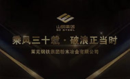 山东莱钢粉末冶金集团